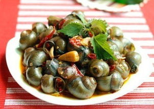 淄博膠東鹵水與海鮮培訓公司 費用與聯(lián)系方式全解析