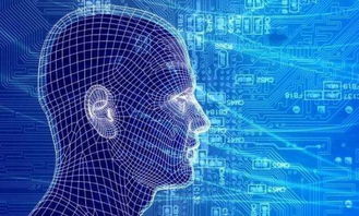 從小白到大數(shù)據(jù)人工智能專家的進(jìn)階之路 聚焦基礎(chǔ)軟件開發(fā)